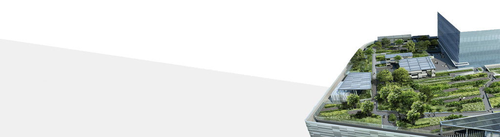 07-1.png
