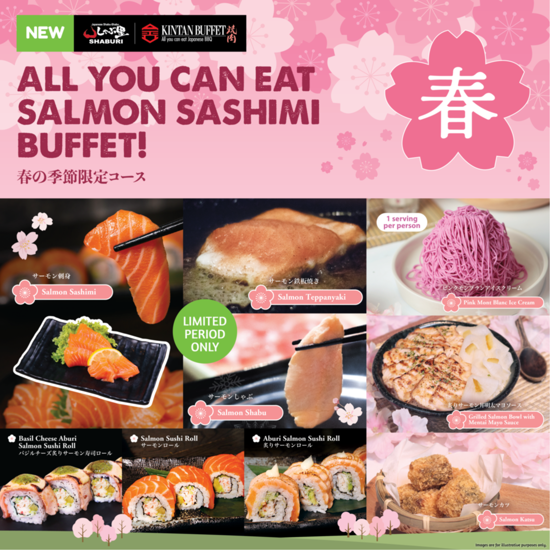 All You Can Eat Salmon Sashimi Buffet!