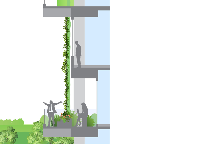 Like stage curtains of green velvet Image