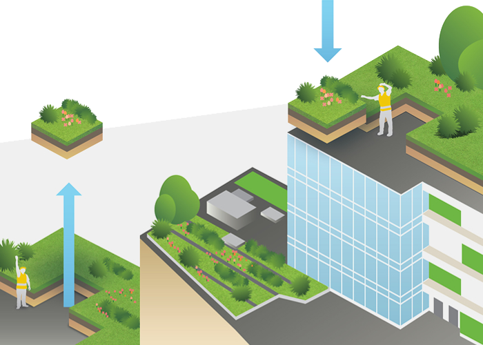 Giving Mother Nature room to grow Image